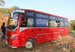 مینی بوس سیترا