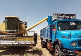 تک باری مدل 71 در حد صفر