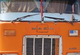 ماک بی دماغ