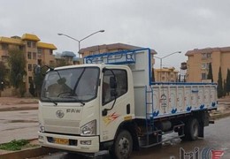 فاو شش تن تایگر وی